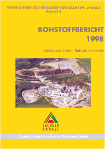 Rohstoffbericht Sachsen-Anhalt 1998