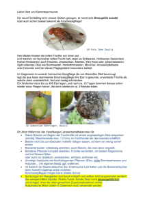 Kirschessigfliege - Obst- und Gartenkultur Vorarlberg