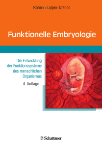 Funktionelle Embryologie - vub
