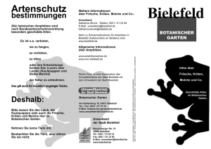 Info-Flyer - Stadt Bielefeld