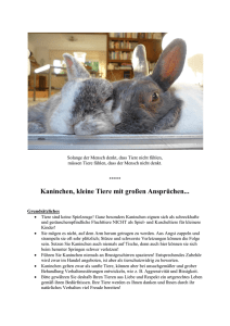 Kaninchen, kleine Tiere mit großen Ansprüchen