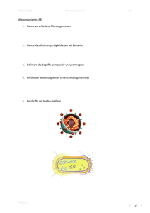Mikrobiologie Mkroorganismen info kd©2015 1/2 Mikroorganismen