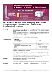 Vita Pro-Flex® DRINK – damit Bewegung Spass macht!