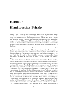 Kapitel 7 Hamiltonsches Prinzip