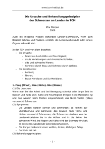 Die Ursache und Behandlungsprinzipien der Schmerzen am