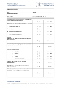 Anamnesebogen Tierärztliche Klinik Dresdner Heide ja nein Ja Ja