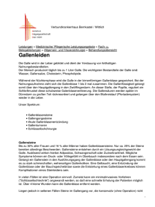 Verbundkrankenhaus Bernkastel / Wittlich: Gallenleiden