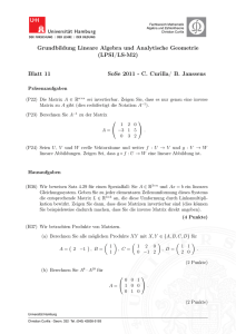 Blatt 11 - Fachbereich Mathematik