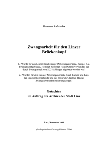 Zwangsarbeit für den Linzer Brückenkopf