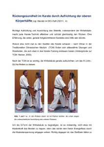 Rückengesundheit im Karate - Ki