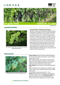 Der grüne Punkt Bulletin Nr. 12 / 2016
