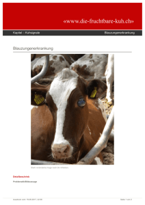 Die fruchtbare Kuh: Blauzungenerkrankung