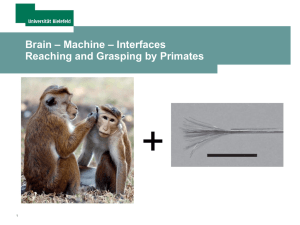 Invasive BMIs - Armsteuerung bzw. Robotersteuerung