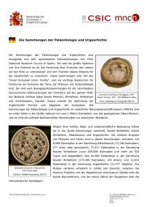 Die Sammlungen der Paläontologie und Urgeschichte - MNCN