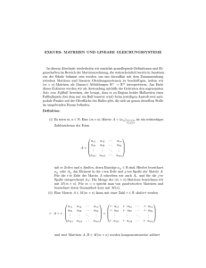 EXKURS: MATRIZEN UND LINEARE GLEICHUNGSSYSTEME In