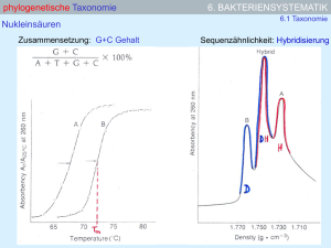 6. BAKTERIENSYSTEMATIK phylogenetische Taxonomie