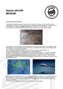 MARUM - SG Stern Bremen