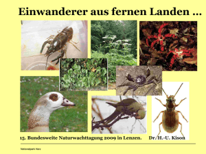 Einwanderer aus fernen Landen