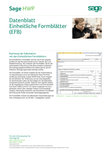 Sage HWP Datenblatt Einheitliche Formblätter (EFB) - it
