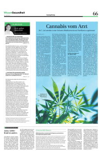 Olff S. Cannabis vom Arzt. Sonntagszeitung 26.6.2011