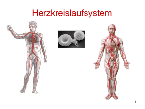 UBV 03_Kapitel 2.e - Herz- Kreislaufsystem