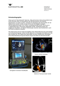 Echokardiographie - Kantonsspital Uri