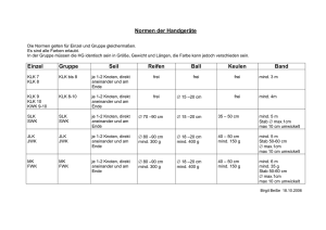 Normen Handgeräte