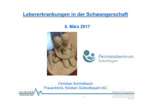 Schindlbeck Vortrag Lebererkrankungen 080317