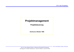 Projektmanagement - Prof. Dr. Heinz
