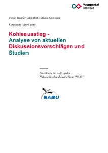 Kohleausstieg - Analyse von aktuellen Diskussionsvorschlägen und