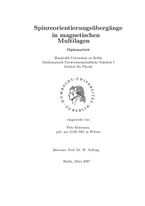 Spinreorientierungsübergänge in magnetischen Multilagen