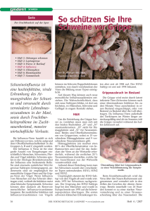 Schweinegrippe - traunkreis vet clinic