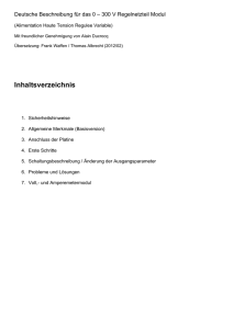 Deutsche Beschreibung für das 0 – 300 V Regelnetzteil Modul