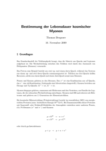 Bestimmung der Lebensdauer kosmischer Myonen