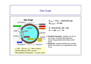 Das Auge - Physik