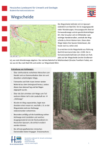 Wegscheide - Hessisches Landesamt für Naturschutz, Umwelt und