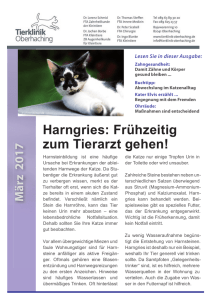 Harngries: Frühzeitig zum Tierarzt gehen!