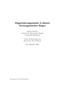 Magnetisierungsumkehr in dünnen ferromagnetischen Ringen