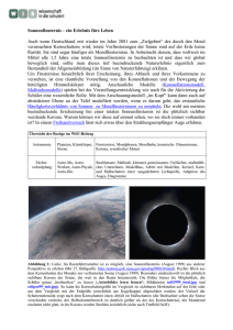 sonnenfinsternis (application/pdf 897.9 KB)