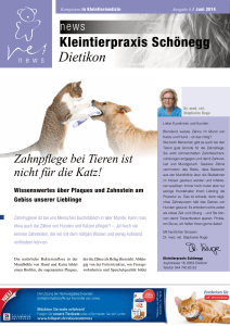 Dietikon - Kleintierpraxis Schönegg