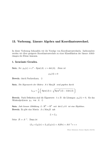 13. Vorlesung. Lineare Algebra und Koordinatenwechsel.