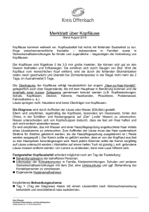 Kopflausbefall - Kreis Offenbach