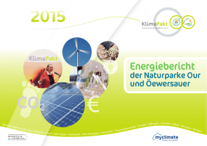 Energiebericht 2015