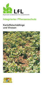 Die Publikation als PDF 1,0 MB - Bayerische Landesanstalt für