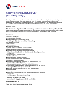 Gassystemeinbauprüfung GSP (inkl. GAP) -3