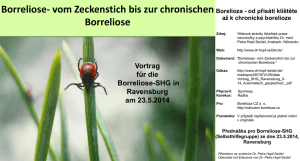 Borreliose- vom Zeckenstich bis zur chronischen/Borelioza