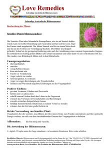 Sensitive Plant Druckversion als PDF