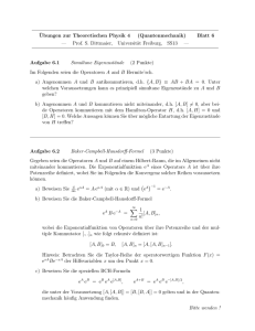 ¨Ubungen zur Theoretischen Physik 4 (Quantenmechanik) Blatt 6