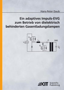 Ein adaptives Impuls-EVG zum Betrieb von dielektrisch behinderten