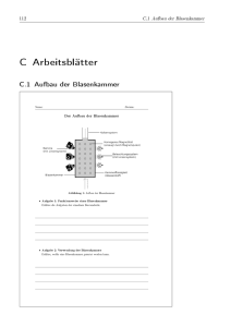 C Arbeitsblätter